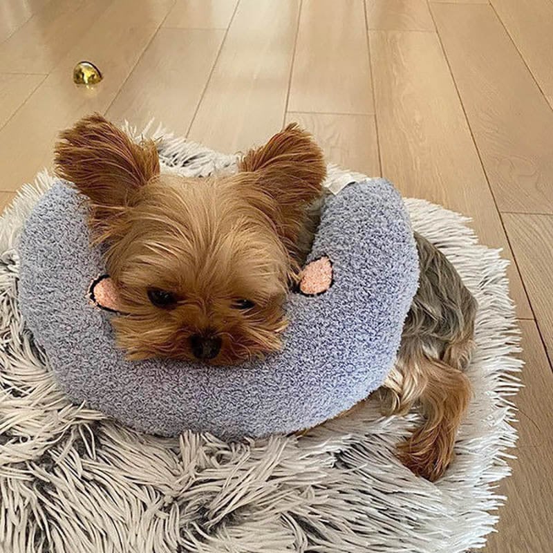 🐶🐱The Calming Pillow💐